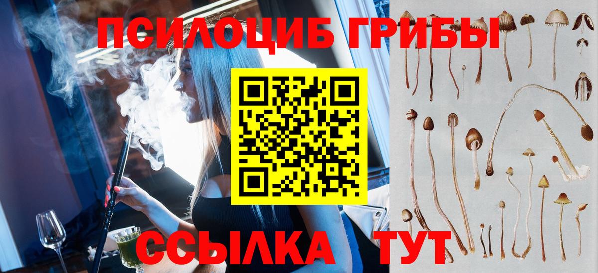 Псилоцибиновые грибы ЛСД Балашиха